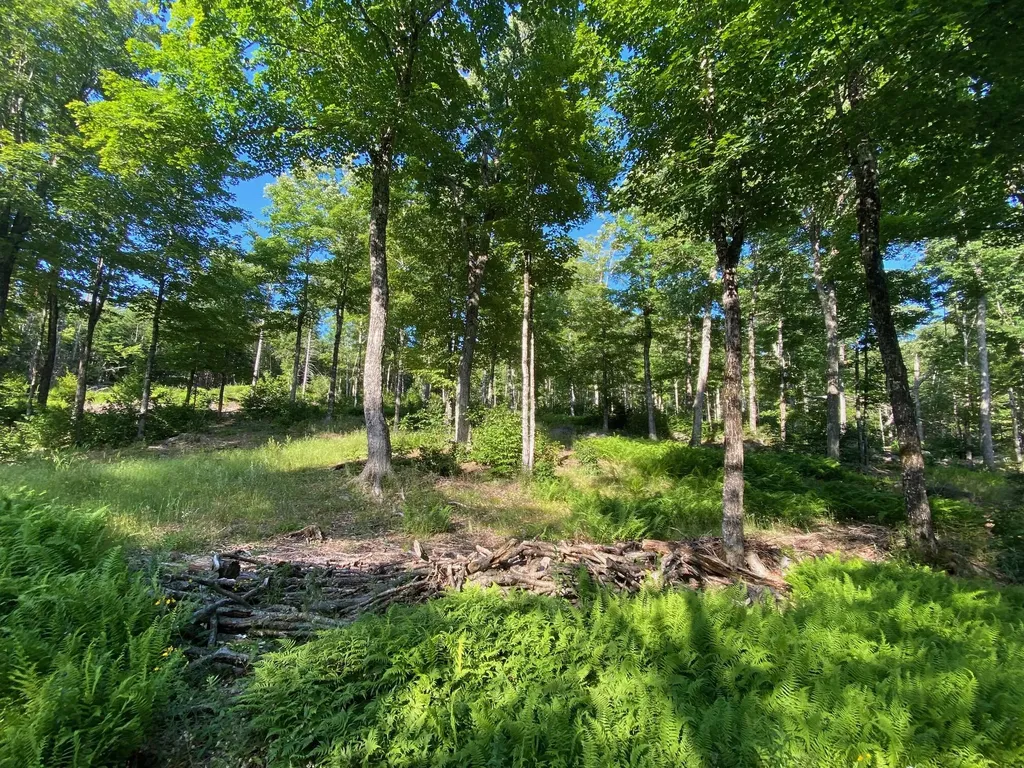Lot 11b-1 Blair Hill Road Greenville ME 04441