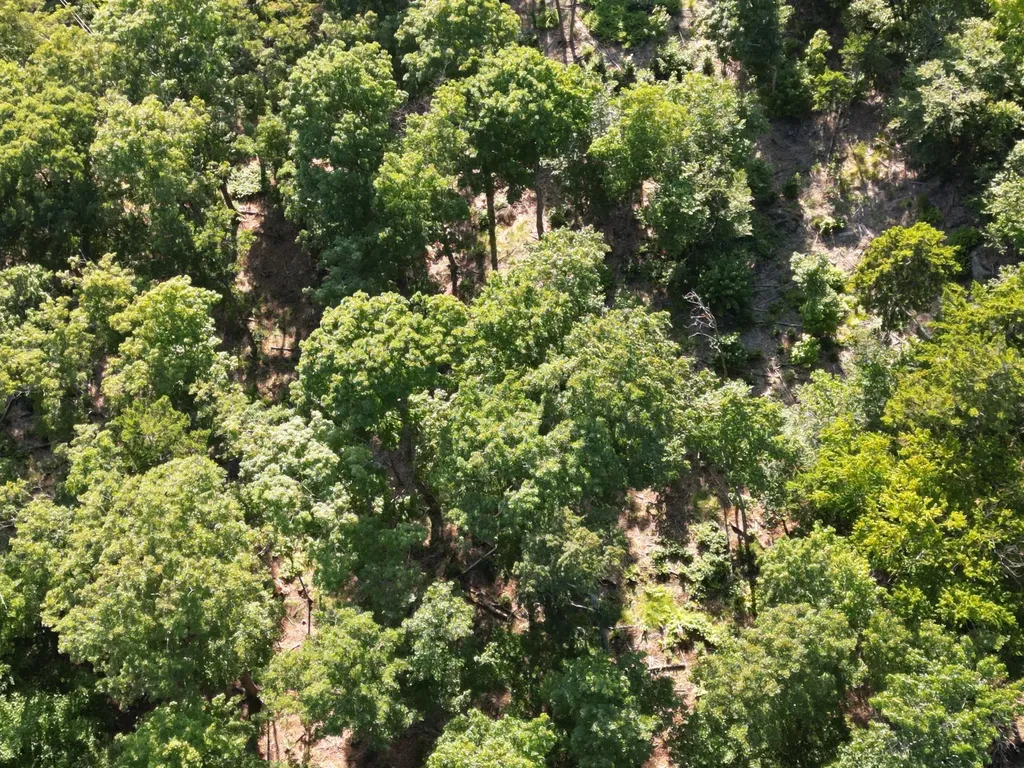 Lot 11b-1 Blair Hill Road Greenville ME 04441