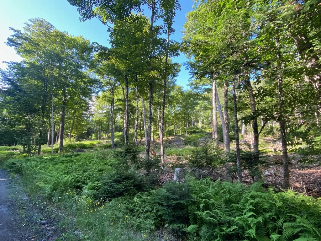 Lot 11b-1 Blair Hill Road Greenville ME 04441