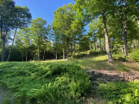 Lot 11b-1 Blair Hill Road Greenville ME 04441