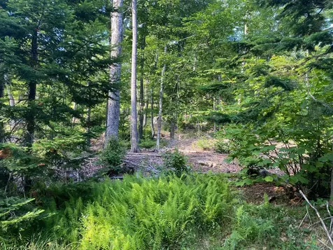 Lot 11b-1 Blair Hill Road Greenville ME 04441
