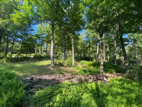 Lot 11b-1 Blair Hill Road Greenville ME 04441