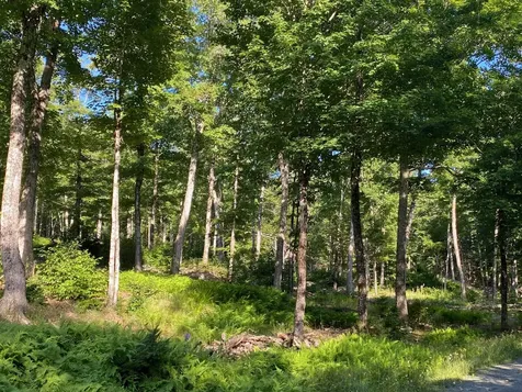 Lot 11b-1 Blair Hill Road Greenville ME 04441