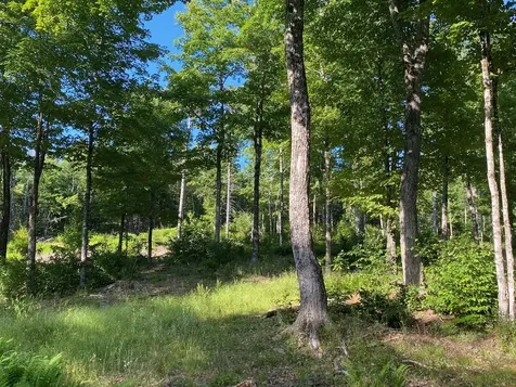 Lot 11b-1 Blair Hill Road Greenville ME 04441