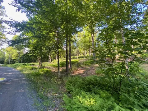 Lot 11b-1 Blair Hill Road Greenville ME 04441