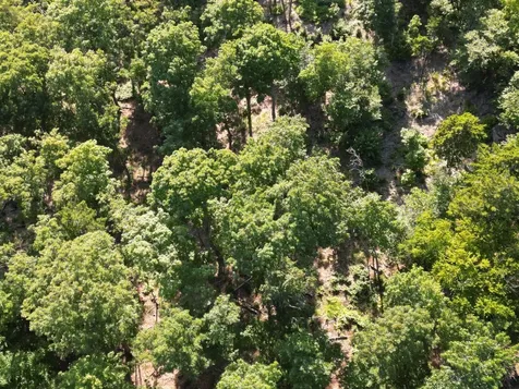 Lot 11b-1 Blair Hill Road Greenville ME 04441
