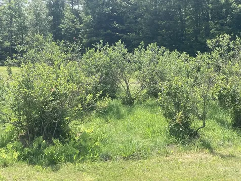 68 Whaleback Road Limington ME 04049