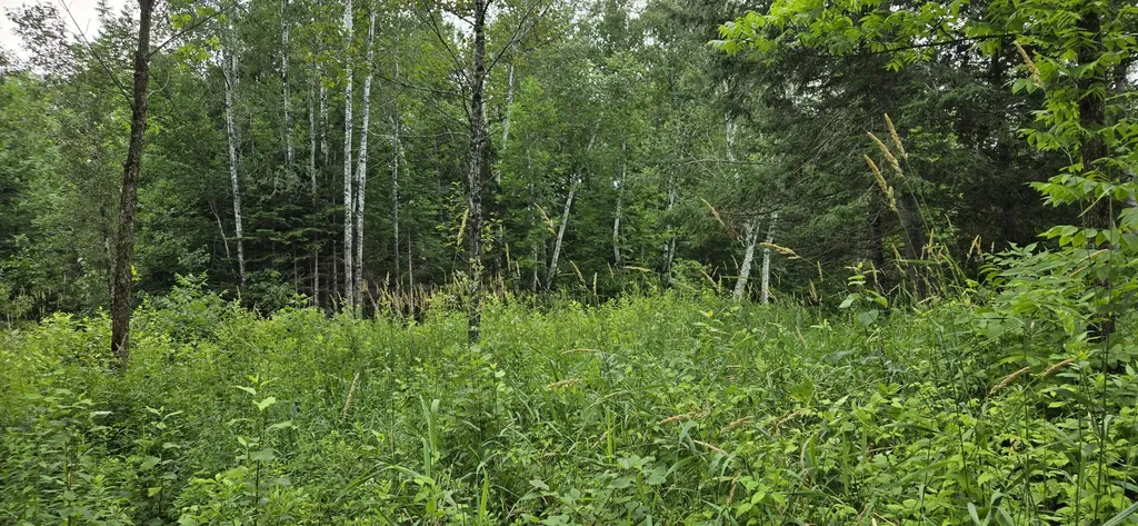 858 Allagash Road Allagash ME 04774
