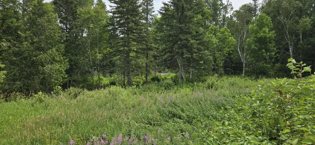858 Allagash Road Allagash ME 04774