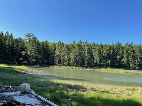 Lot # 15-2 Fort Williams Road Harrington ME 04643