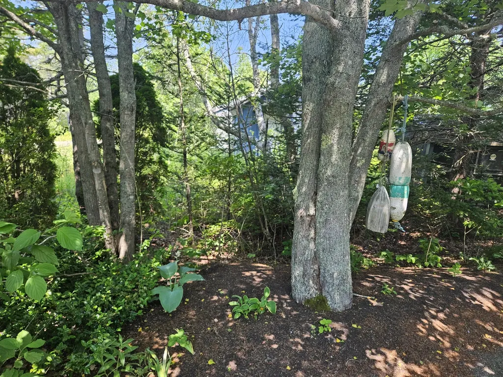541 Mason Bay Road Jonesport ME 04649