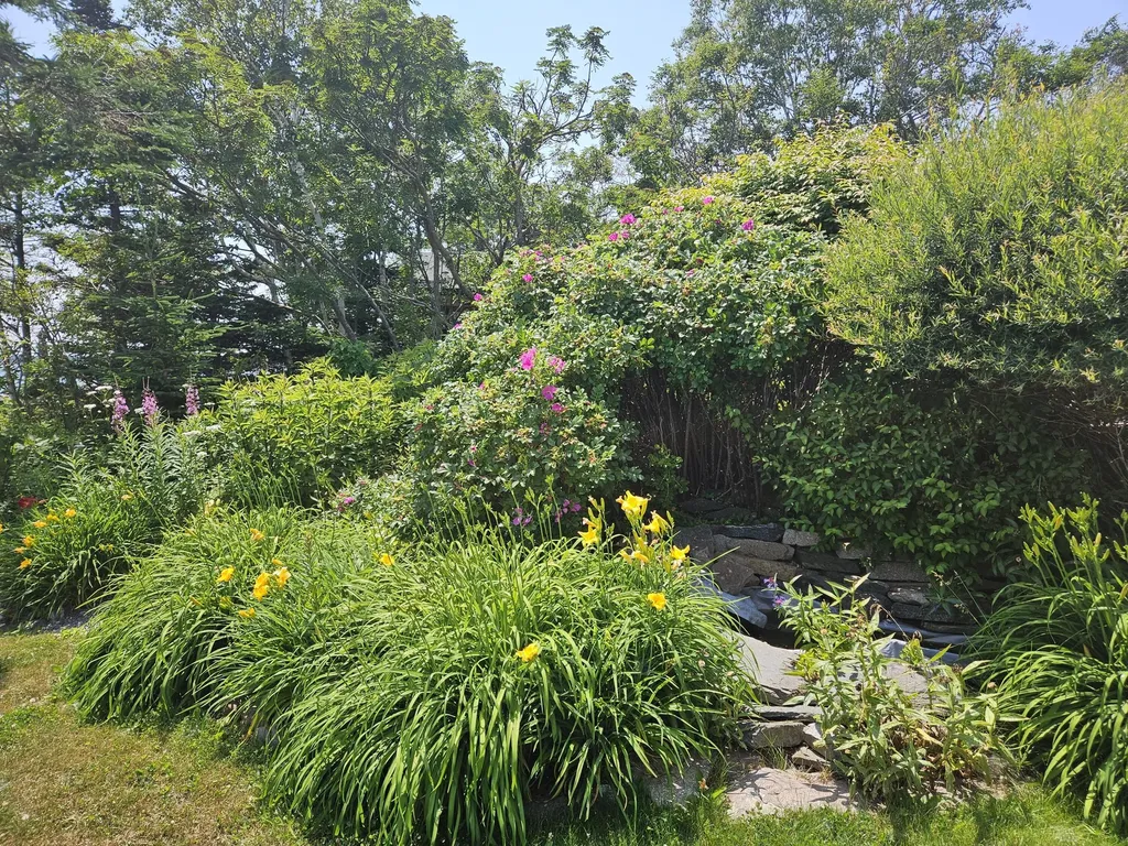 541 Mason Bay Road Jonesport ME 04649
