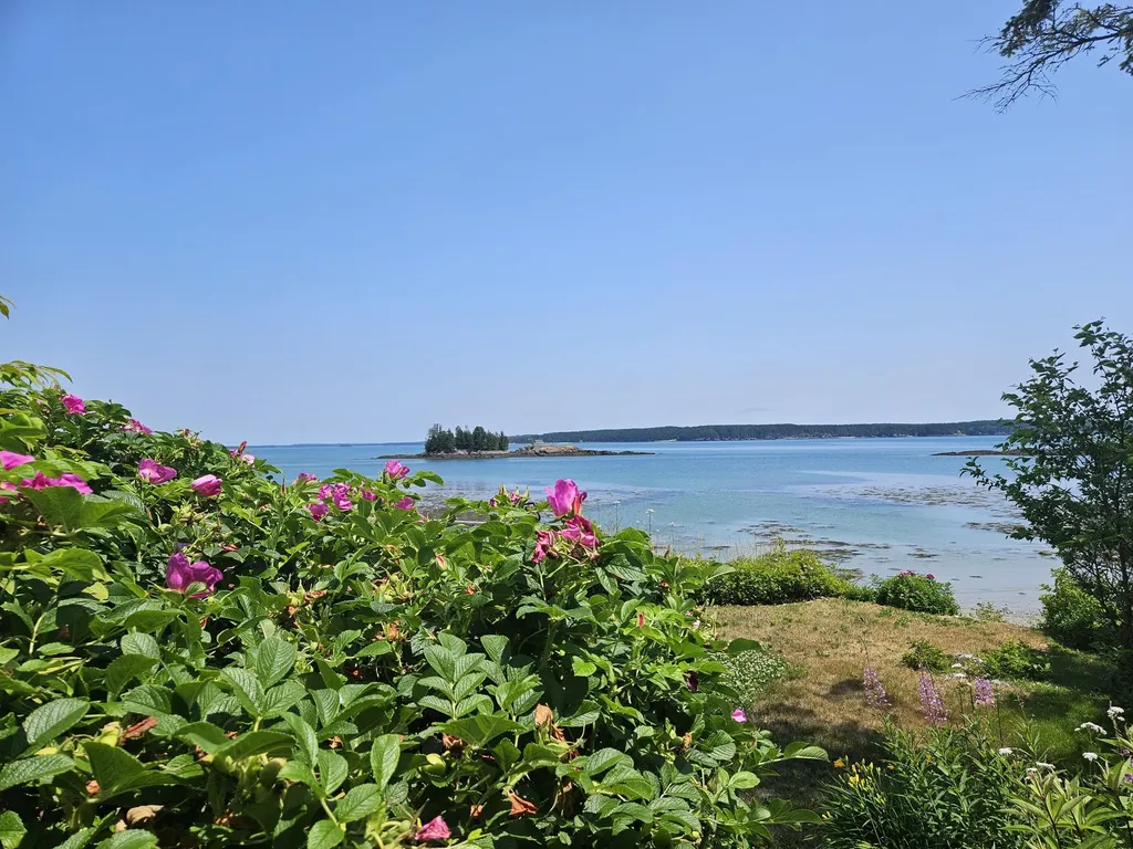 541 Mason Bay Road Jonesport ME 04649