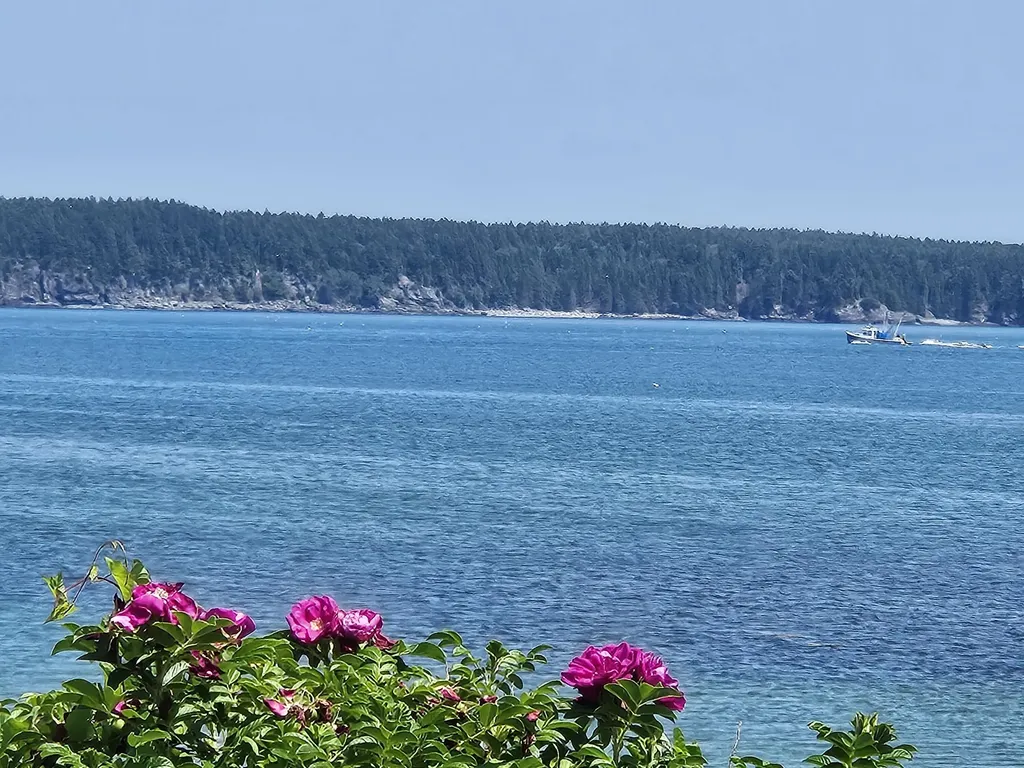 541 Mason Bay Road Jonesport ME 04649