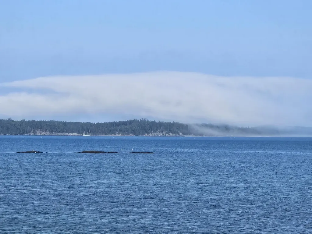 541 Mason Bay Road Jonesport ME 04649