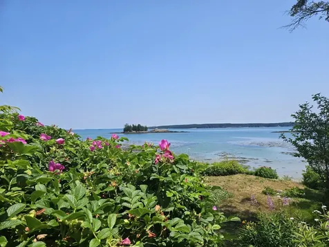 541 Mason Bay Road Jonesport ME 04649