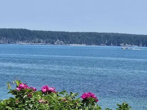 541 Mason Bay Road Jonesport ME 04649