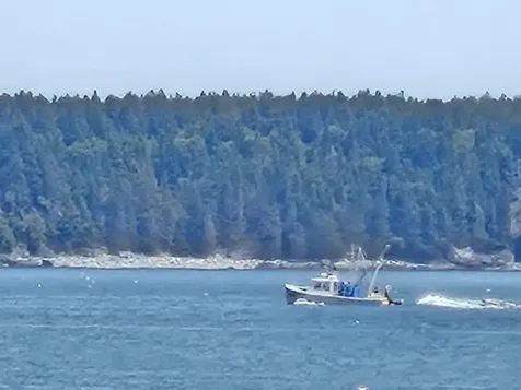 541 Mason Bay Road Jonesport ME 04649