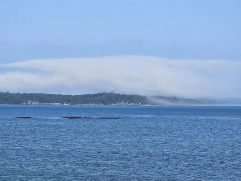 541 Mason Bay Road Jonesport ME 04649