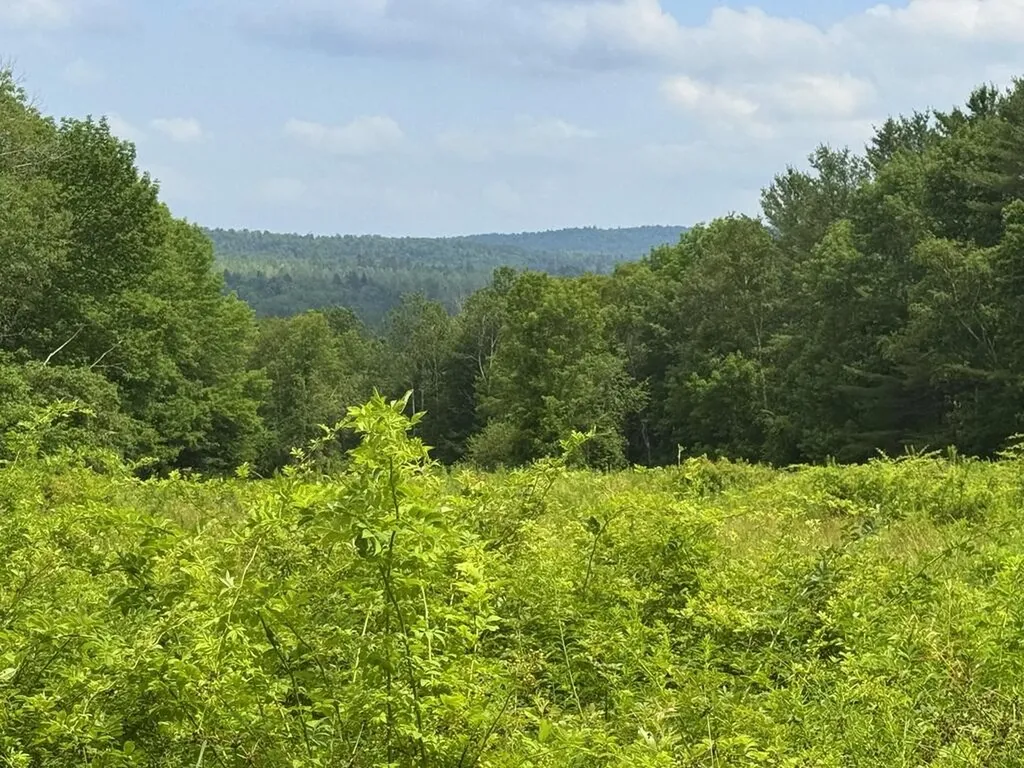 Lot 68 E Paul Road Chesterville ME 04938