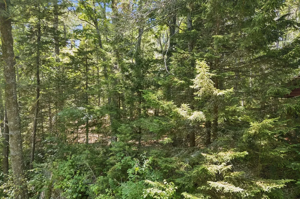 13 Eggemoggin Way Harpswell ME 04079