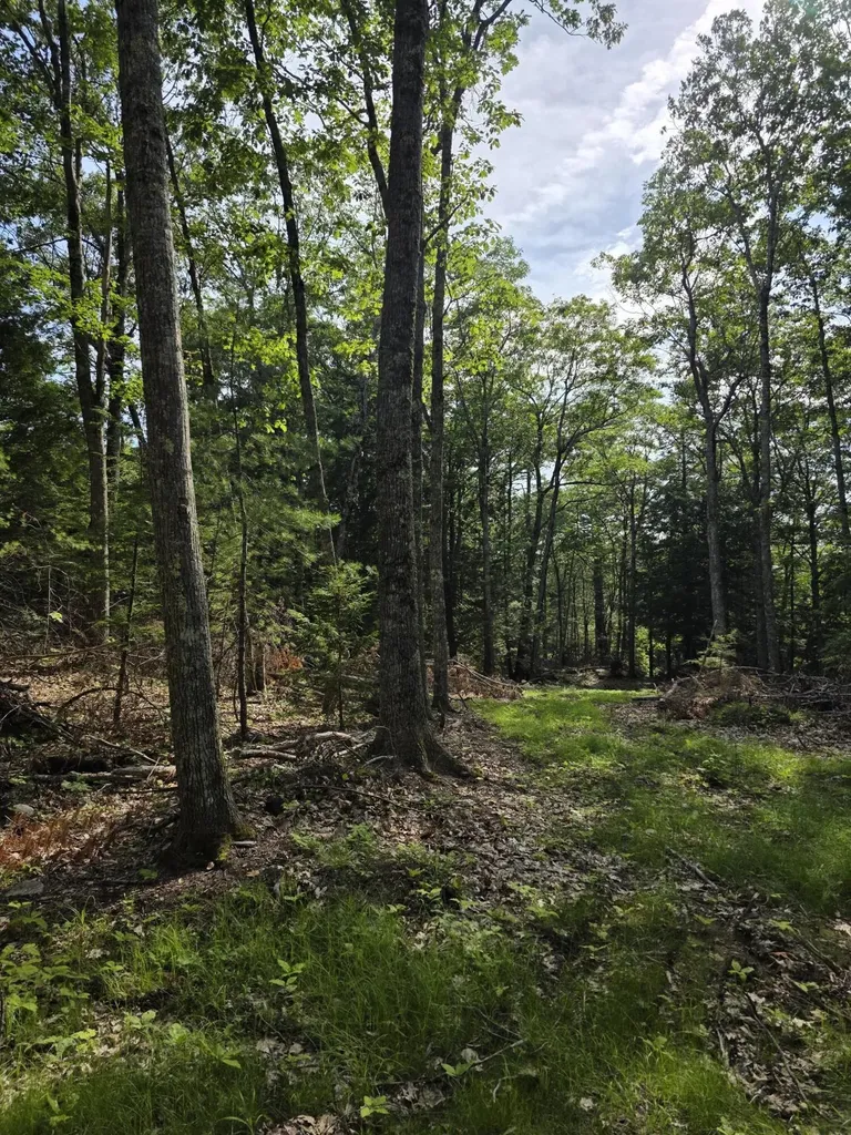 00 Pinnacle Road Liberty ME 04949