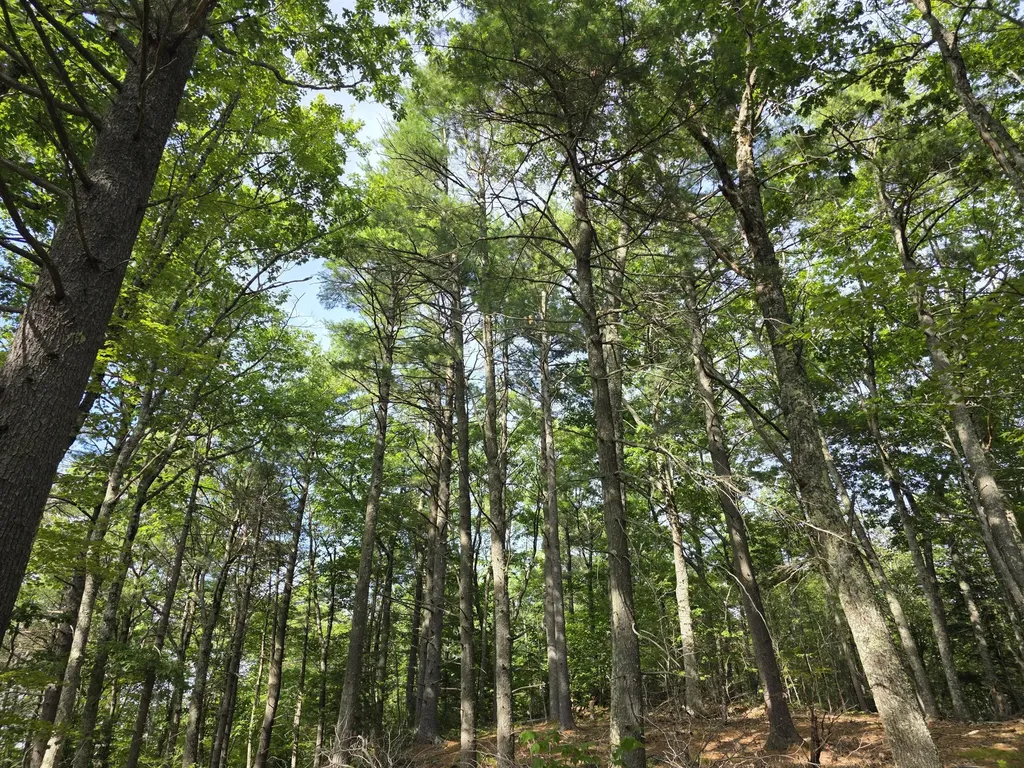 00 Pinnacle Road Liberty ME 04949