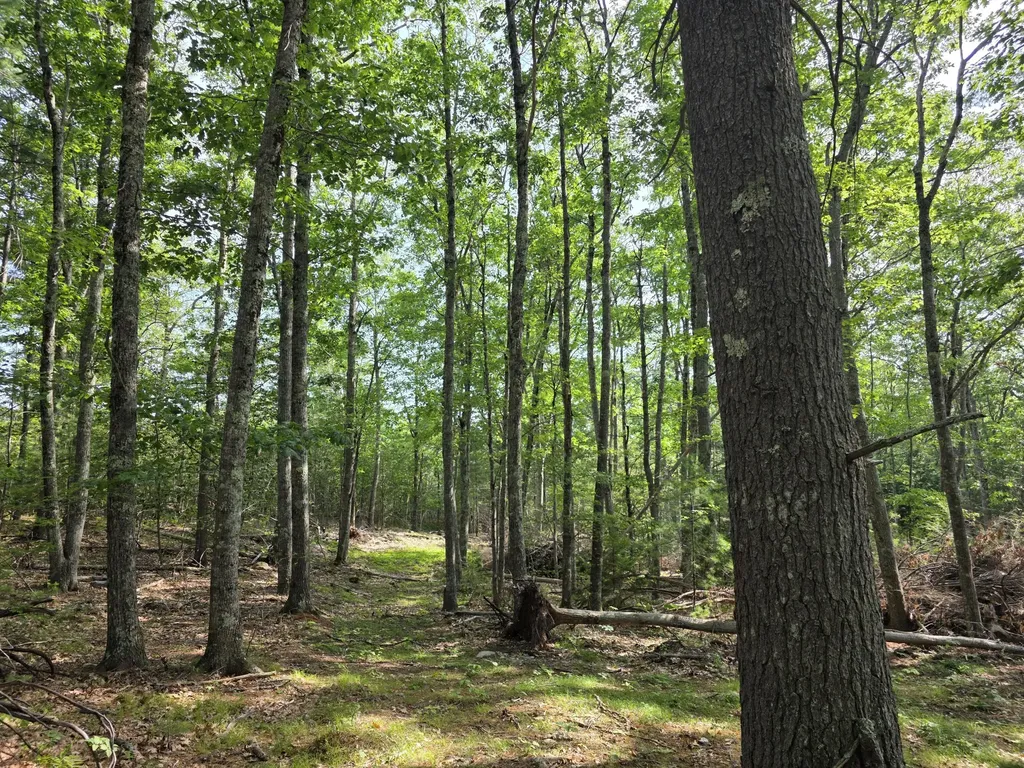 00 Pinnacle Road Liberty ME 04949