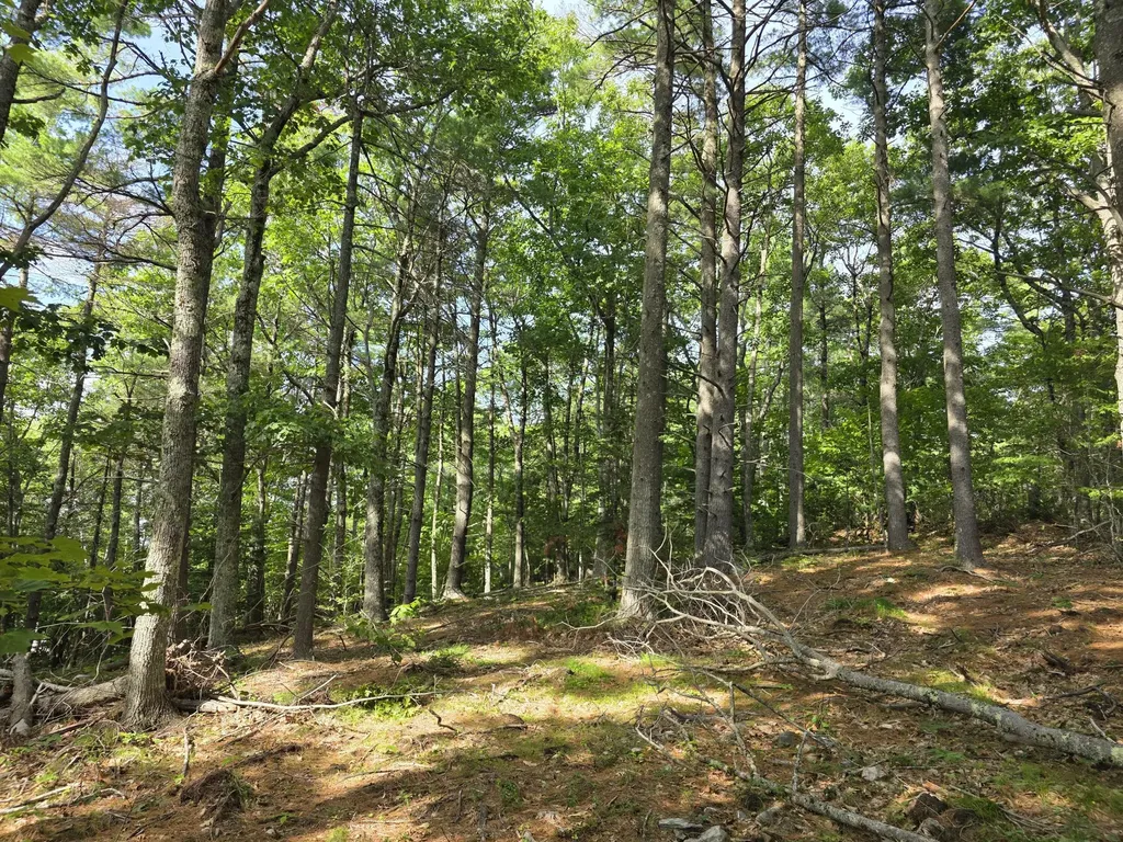 00 Pinnacle Road Liberty ME 04949