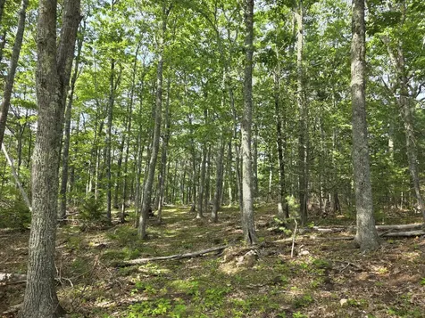 00 Pinnacle Road Liberty ME 04949