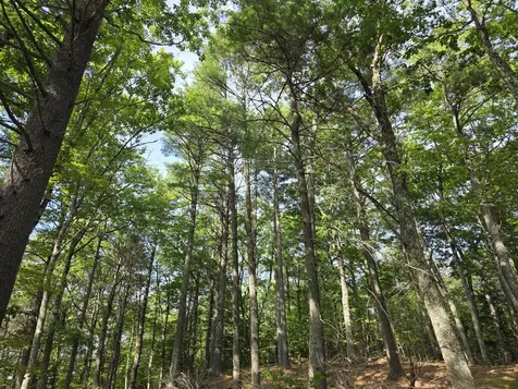 00 Pinnacle Road Liberty ME 04949