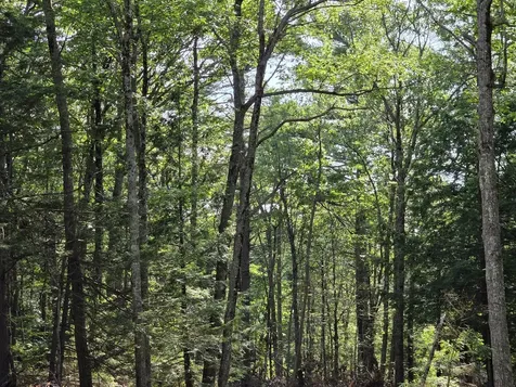 00 Pinnacle Road Liberty ME 04949
