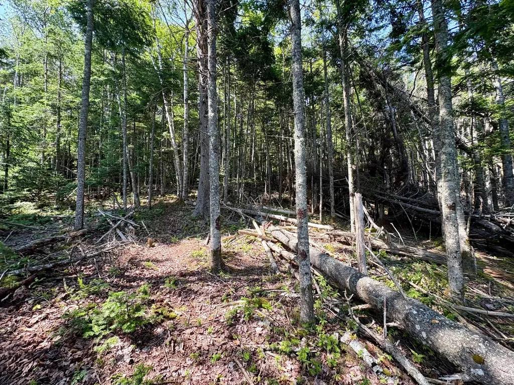 Lot 95 N Duck Cove Road Roque Bluffs ME 04654