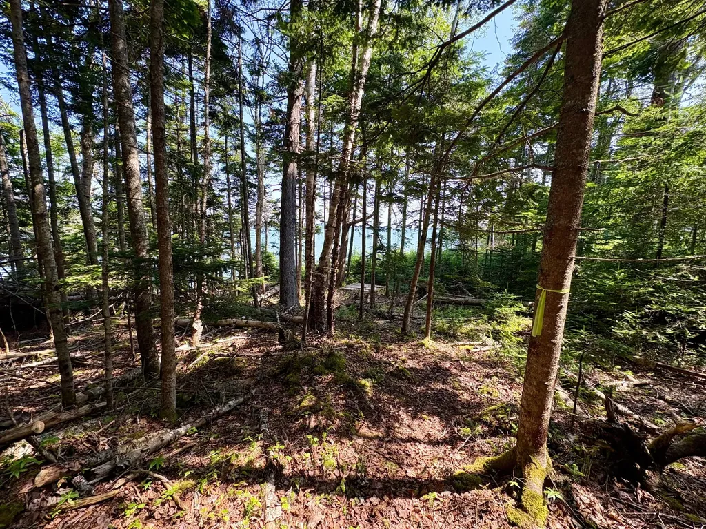 Lot 95 N Duck Cove Road Roque Bluffs ME 04654