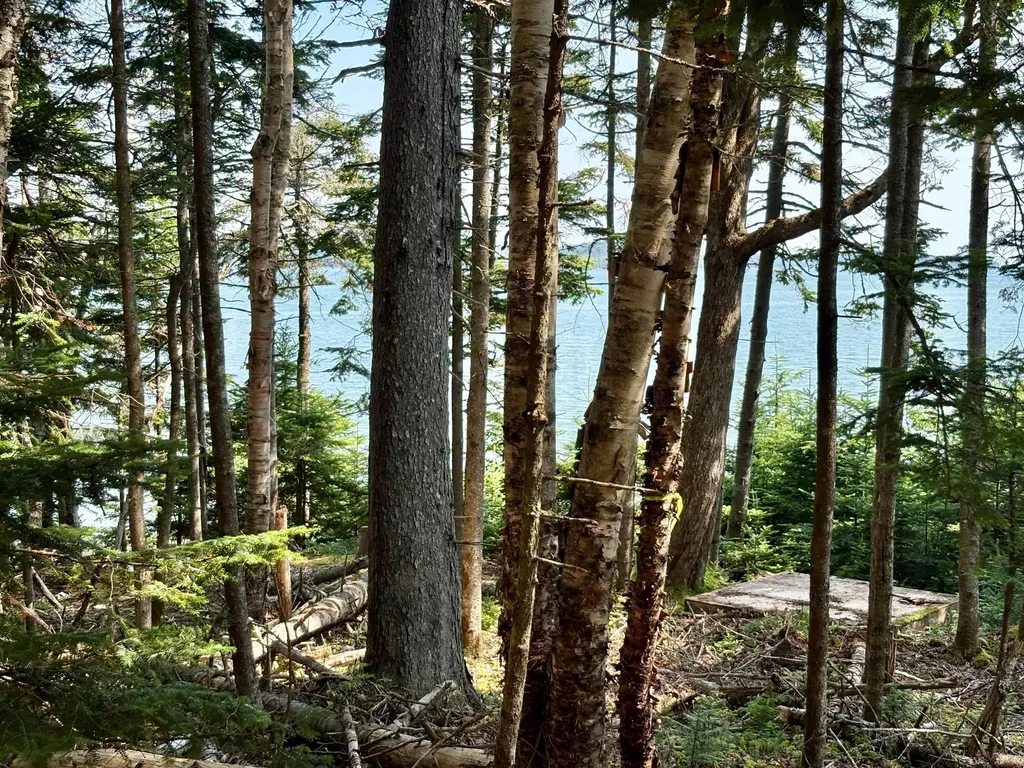 Lot 95 N Duck Cove Road Roque Bluffs ME 04654