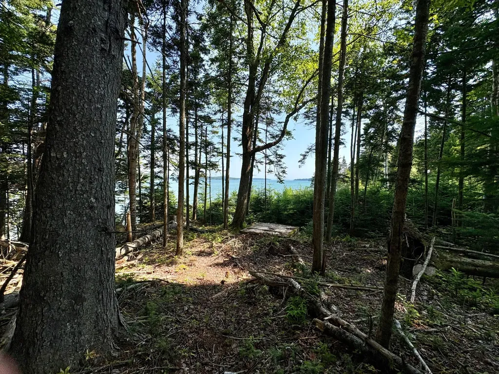 Lot 95 N Duck Cove Road Roque Bluffs ME 04654