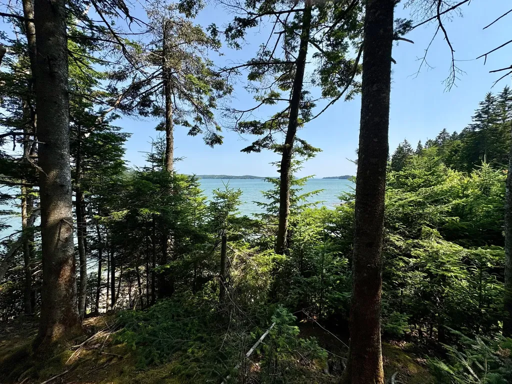 Lot 95 N Duck Cove Road Roque Bluffs ME 04654