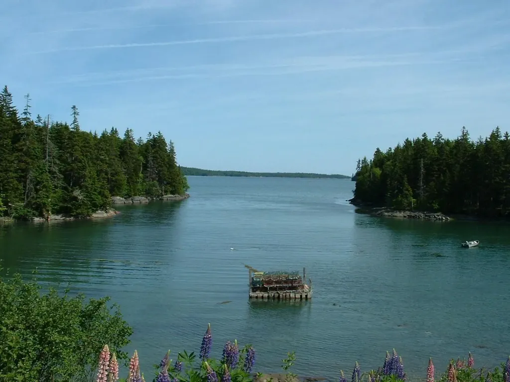 Lot 95 N Duck Cove Road Roque Bluffs ME 04654