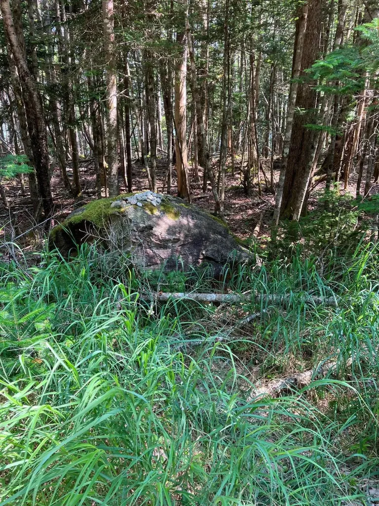 Lot 95 N Duck Cove Road Roque Bluffs ME 04654