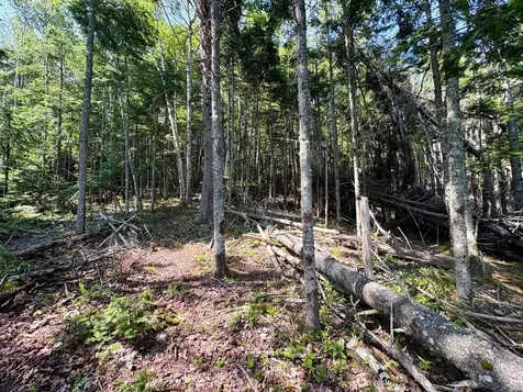 Lot 95 N Duck Cove Road Roque Bluffs ME 04654