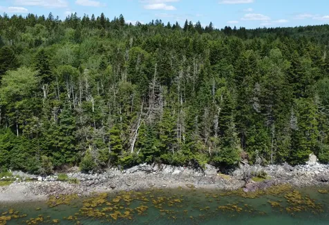 Lot 95 N Duck Cove Road Roque Bluffs ME 04654