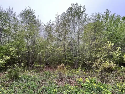 1660 Main Road Greenbush ME 04418