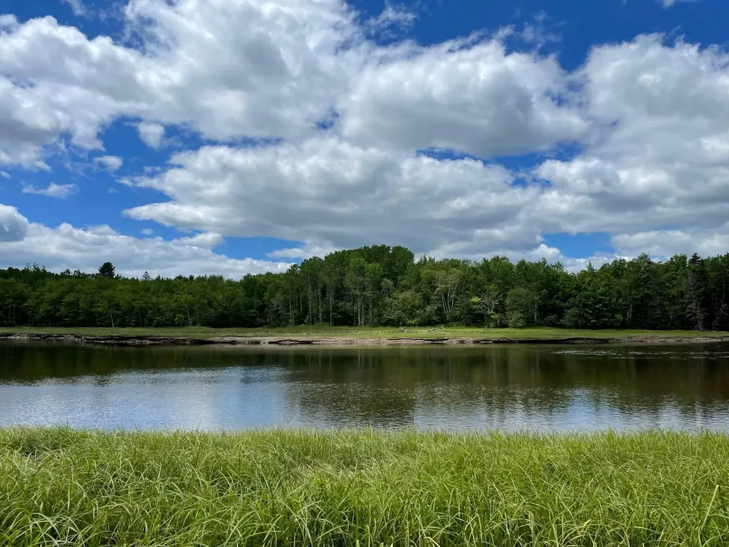 Lot #118 Kansas Road Milbridge ME 04658