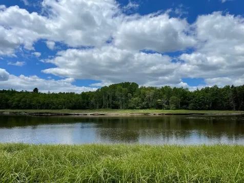 Lot #118 Kansas Road Milbridge ME 04658