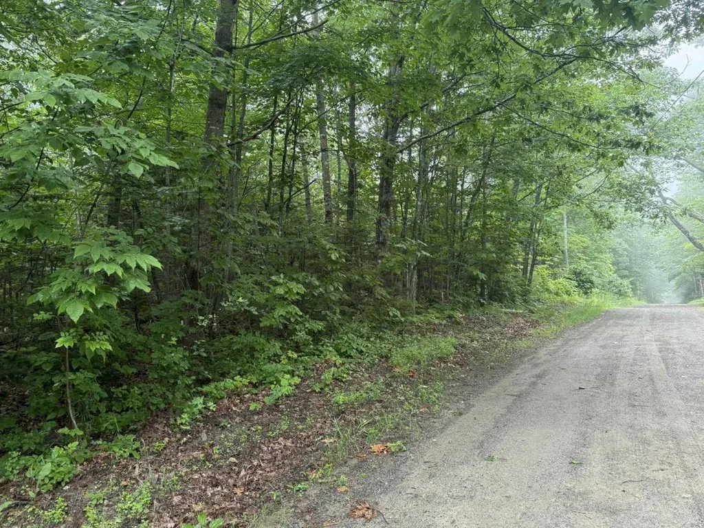 P/o M7 L32 Huff Corner Road Wellington ME 04942