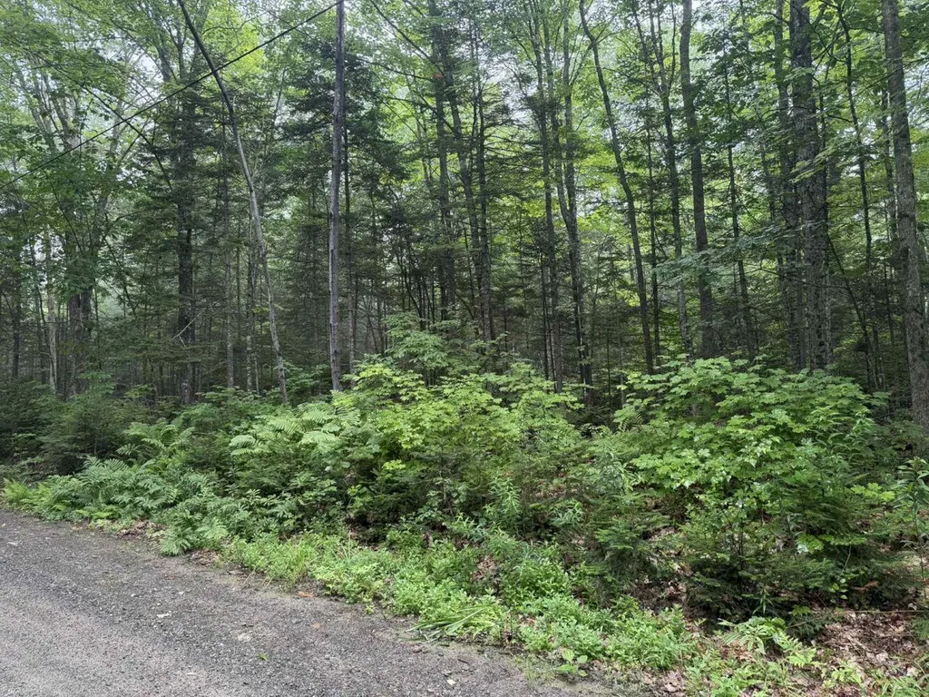 P/o M7 L32 Huff Corner Road Wellington ME 04942