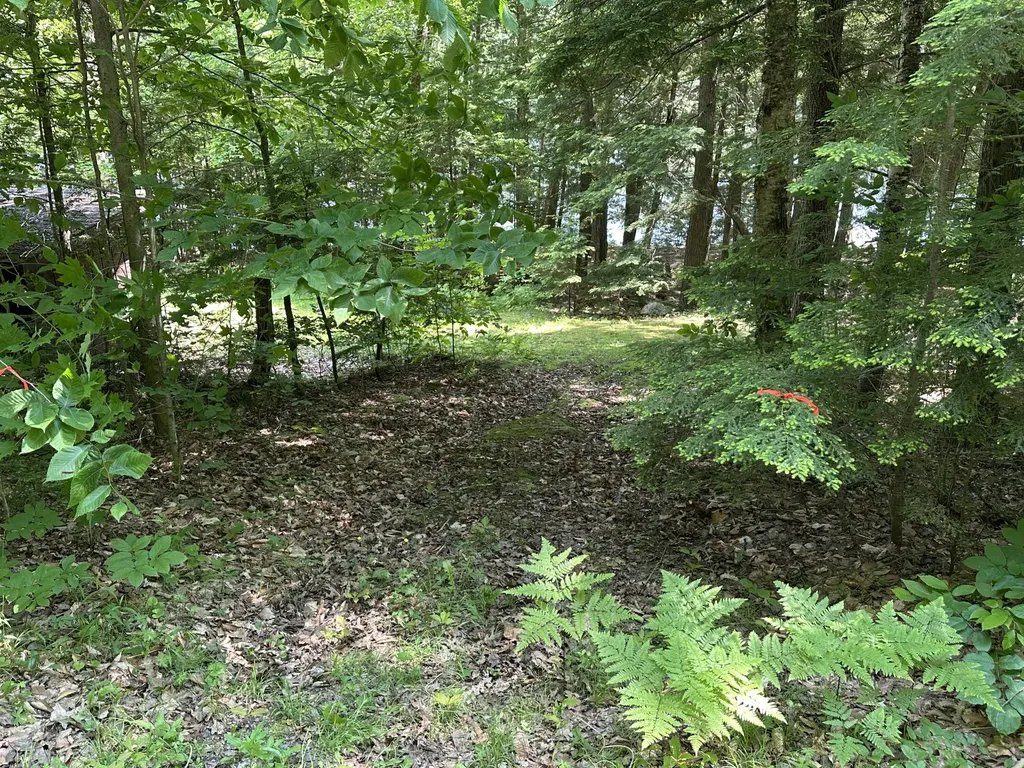 52 Quimby Lane Fayette ME 04349