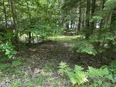 52 Quimby Lane Fayette ME 04349