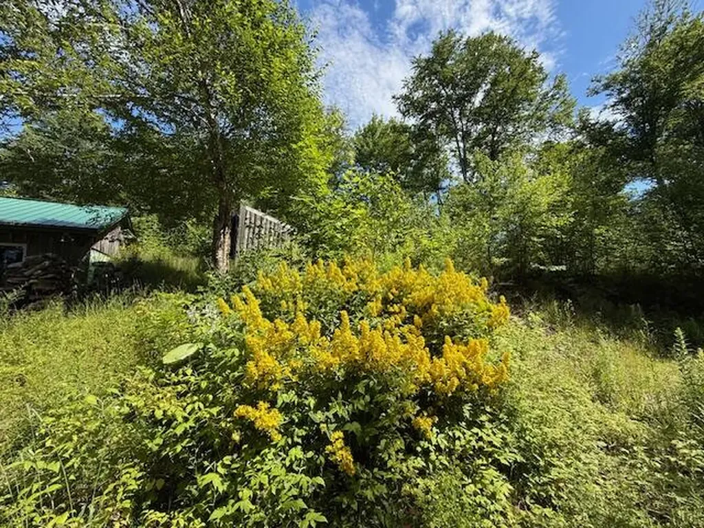 47 Tranquility Lane Perry ME 04667