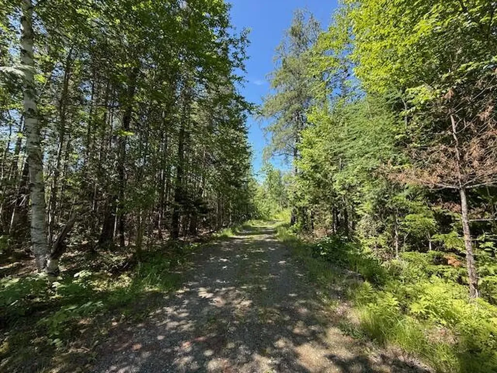 47 Tranquility Lane Perry ME 04667